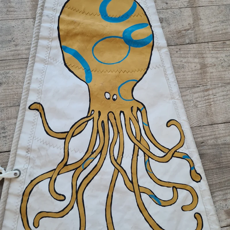 Octopus, Peinture sur voile par Cécile Colombo
