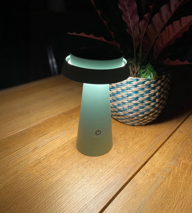 Lampe de table solaire LED ROSA