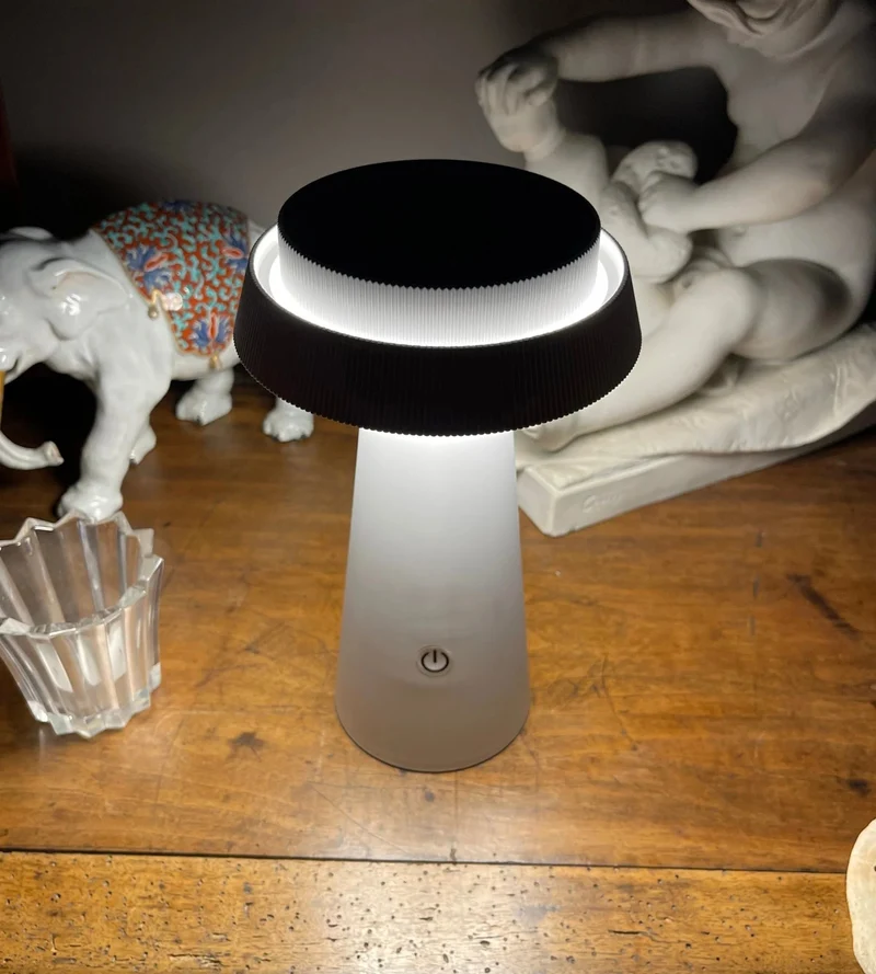 Lampe de table solaire LED ROSA