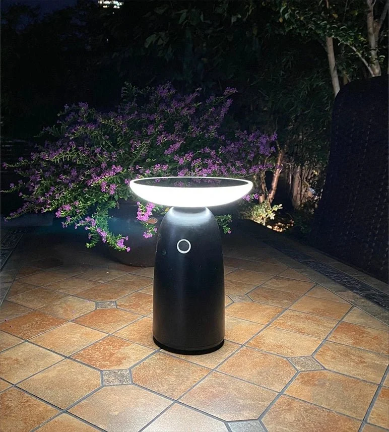 Lampe de table solaire LED HALO noire - 2 modes d'éclairage 100 à 1000 lumens - 4000K - Prise USB-C