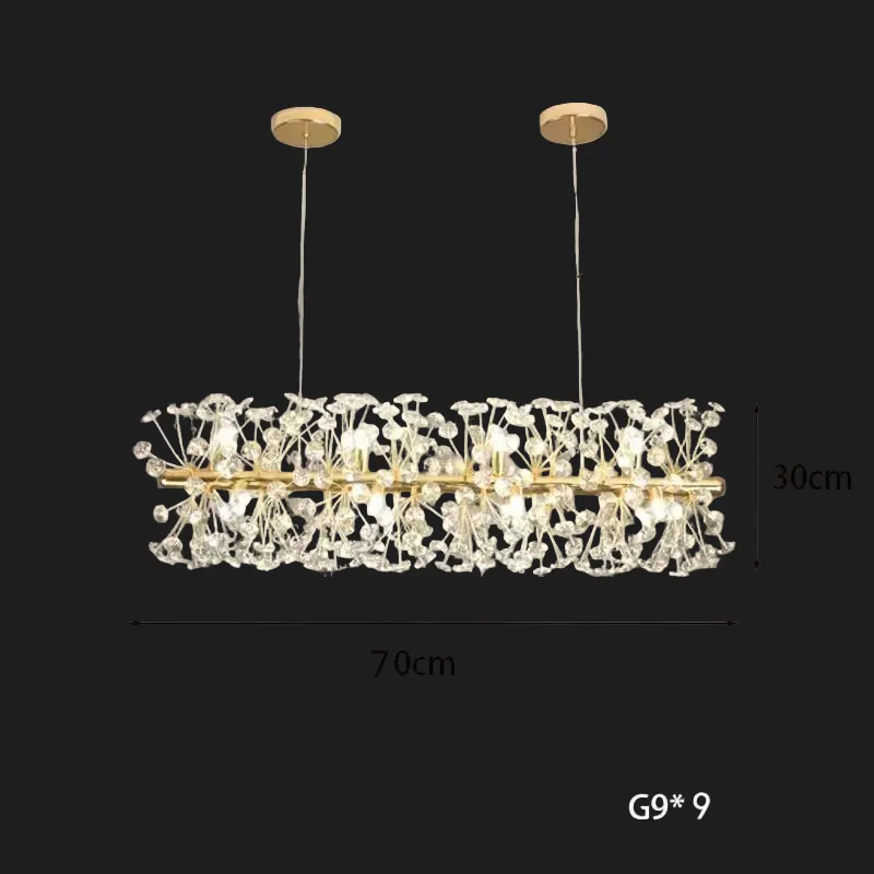 Lustre Suspendu Style Design