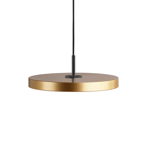 Asteria Medium Brass - Black Top 43 x 14 cm, 2.7m cordset