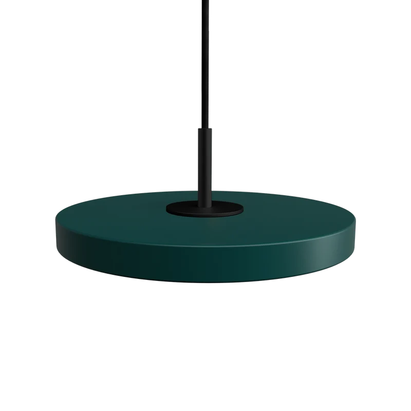 Asteria Micro Forest Green w. Dim - Black Top