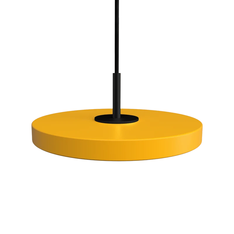 Asteria Micro Saffron Yellow w. Dim - Black Top