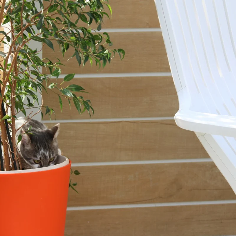 Abri de jardin 7,5 m² Sherwood Déco