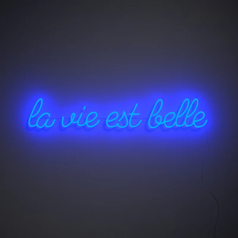 La vie est belle, signe en néon LED