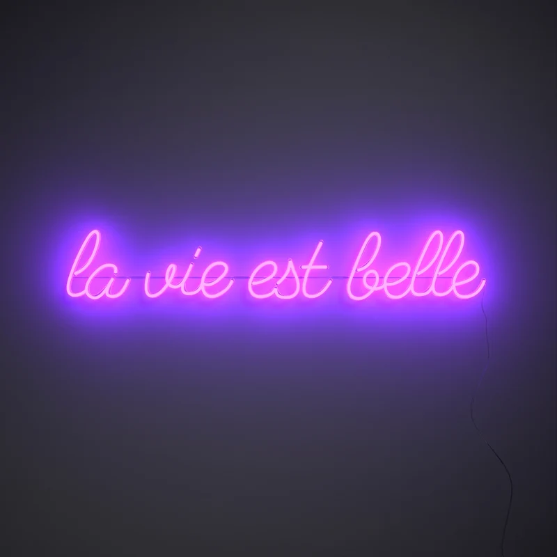La vie est belle, signe en néon LED