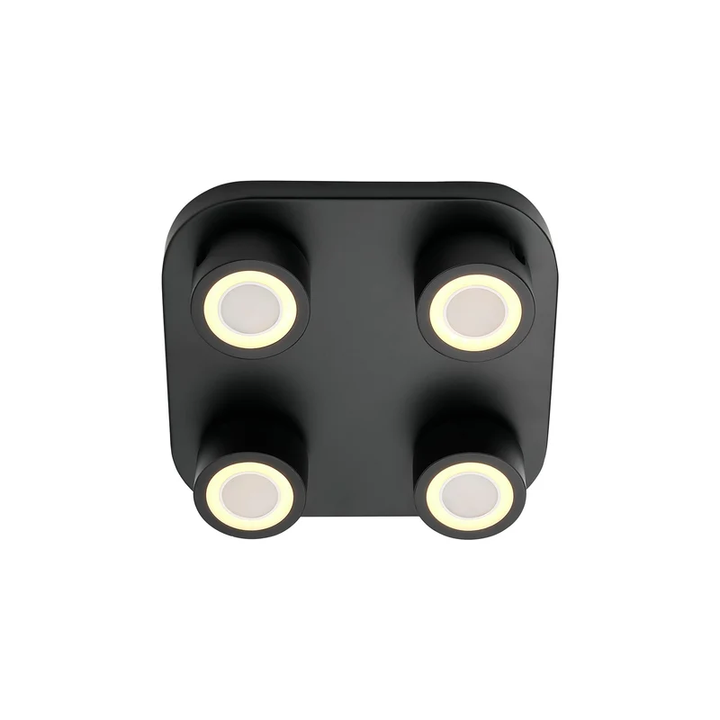 Clyde 4-Spot | Loftlampe | Sort