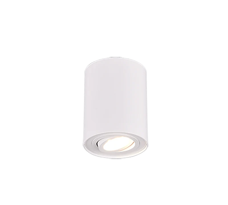Plafonnier Spot Blanc