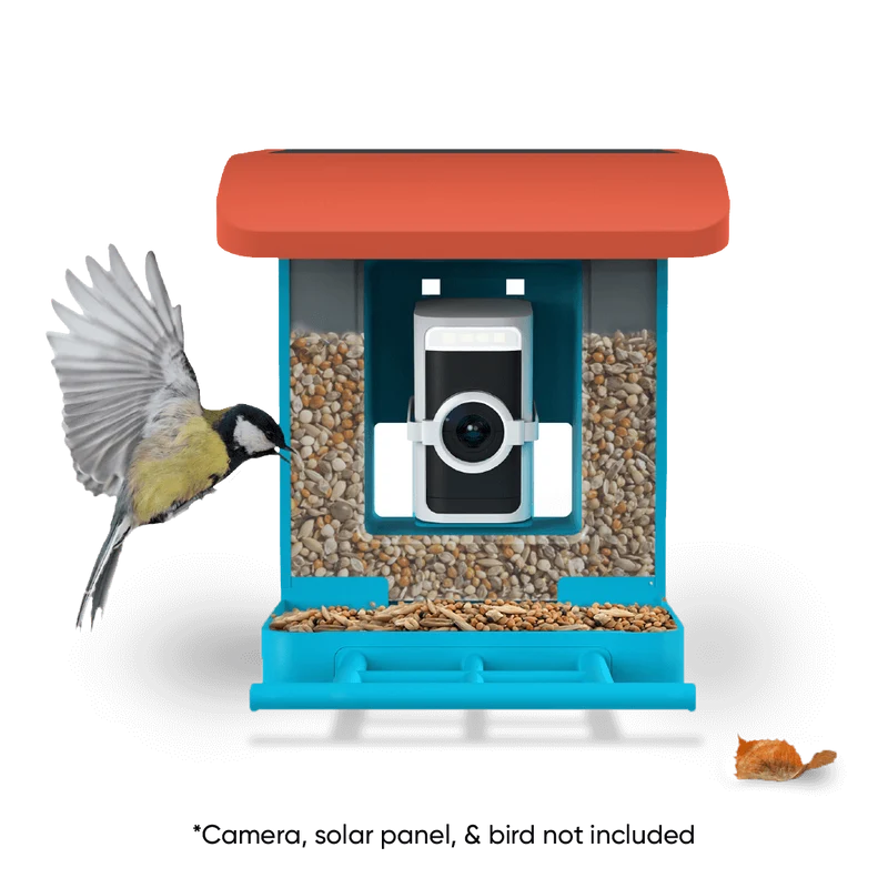 Wyze Bird Feeder
