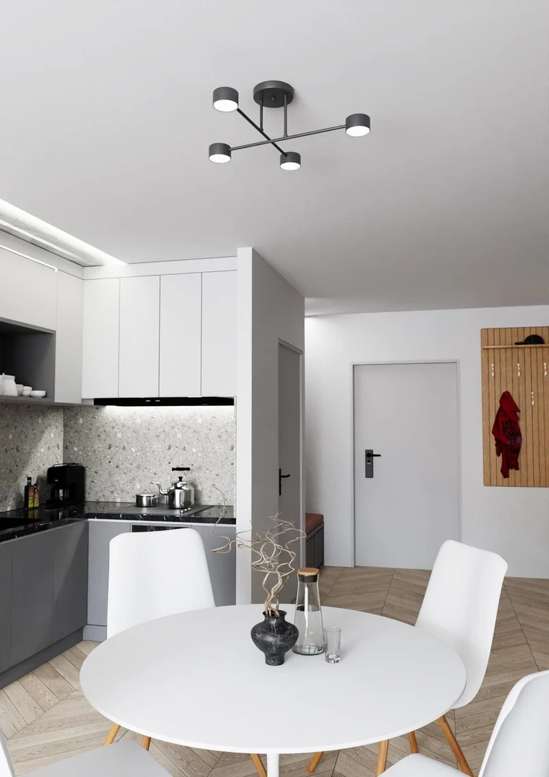 Plafonnier Contemporain Noir pour Salon