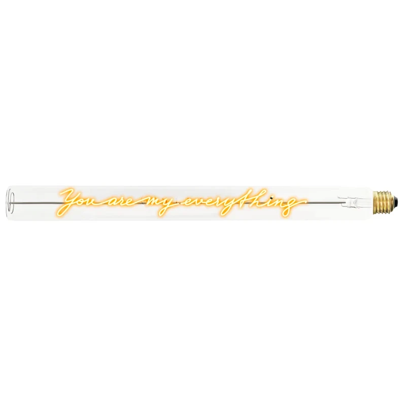 Ampoule décorative LED “You are my Everything” – Message In The Tube