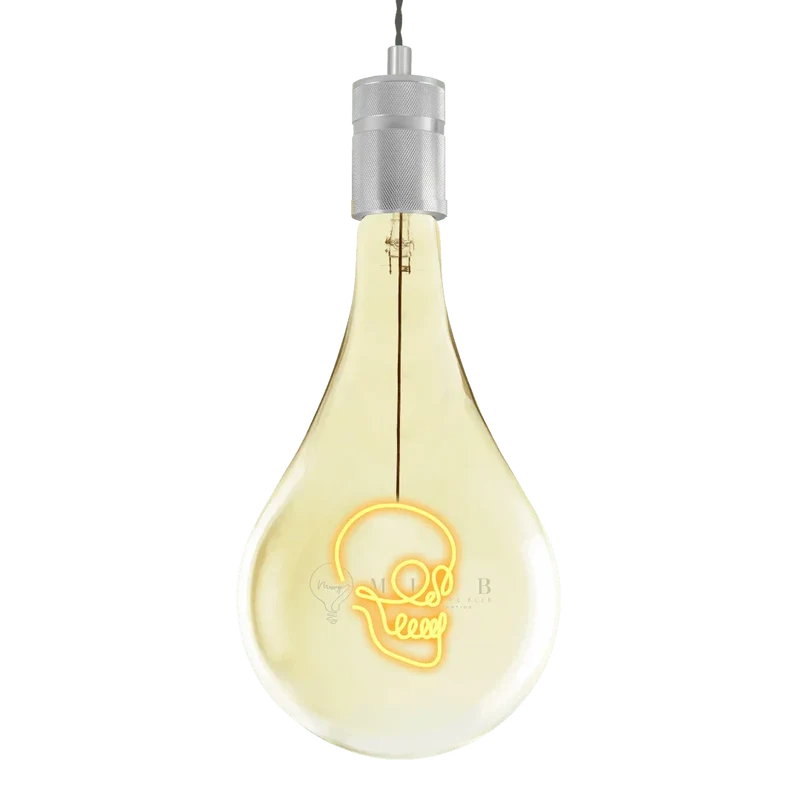 Ampoule décorative LED "Skull" - Message In The Bulb