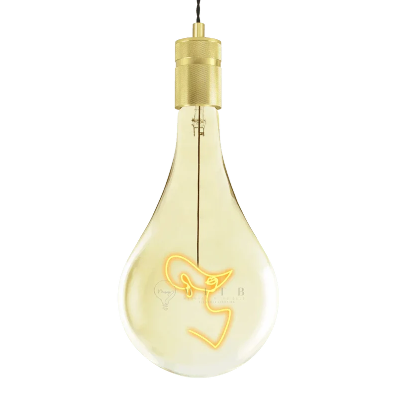 Ampoule décorative LED "Elegant" - Message In The Bulb