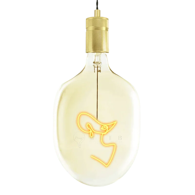 Ampoule décorative LED "Elegant" - Message In The Bulb