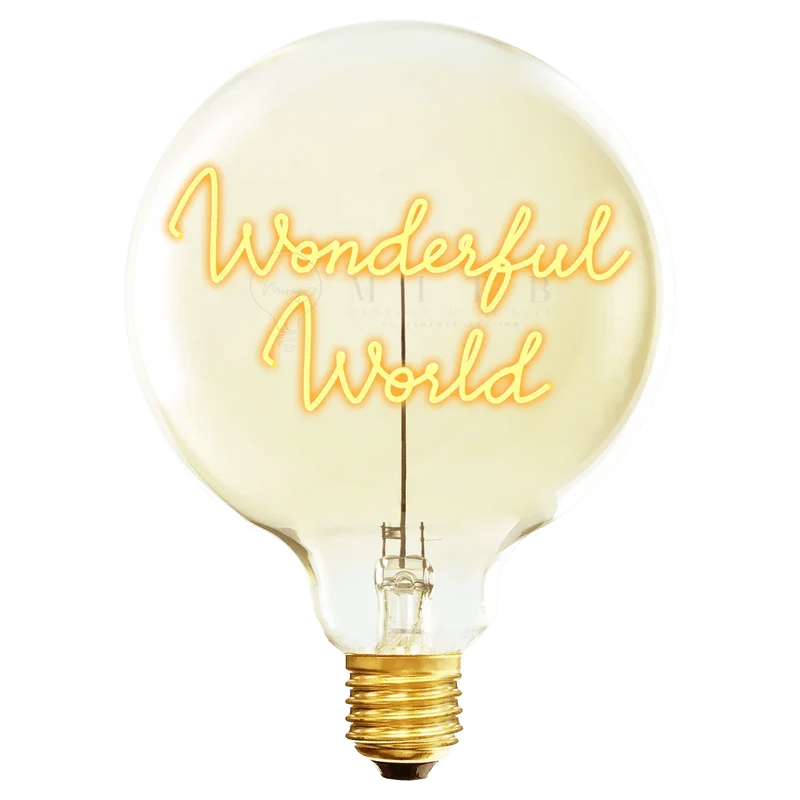 Ampoule décorative LED "Wonderful World" - Message In The Bulb