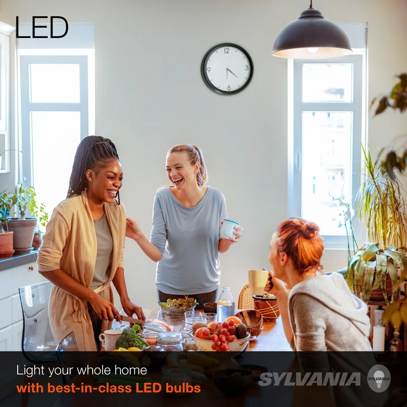 SYLVANIA LED Light Bulb, A19, 14W, 10 Year, Non-Dimmable, 5000K, Daylight - 12 Pk