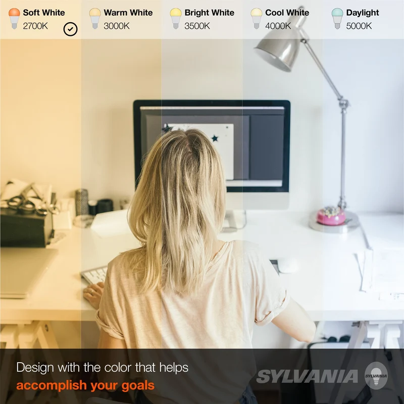 SYLVANIA LED Light Bulb, A19, 8.5W, 10 Year, Non-Dimmable, 5000K, Daylight - 12 Pk