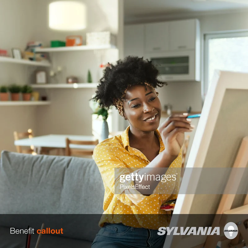 SYLVANIA LED A19 Light Bulb, 40W = 6W, 10 Year, Non-Dimmable, Frosted Finish, 450 Lumens, Daylight - 4 Pk
