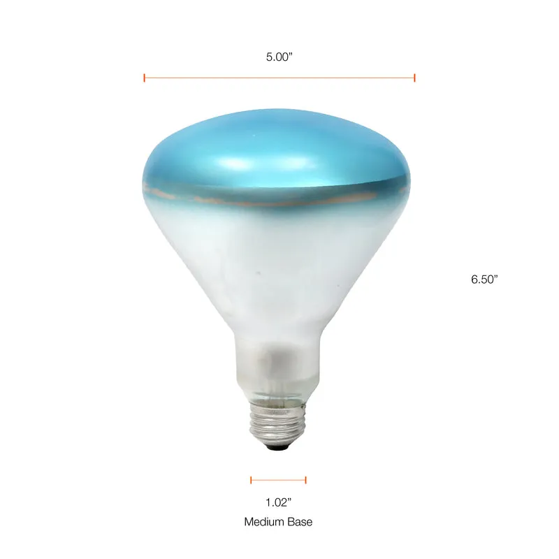 SYLVANIA Spot-Gro 120W Grow Light Bulb, Incandescent BR40 Reflector Lamp, 120 Volts, Frosted, Soft White - 1 Pk