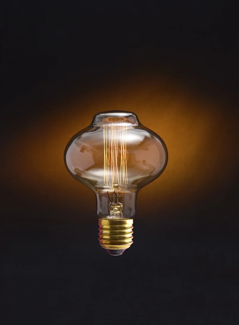 Ampoule E27 Edison 60W Vintage Globe G80