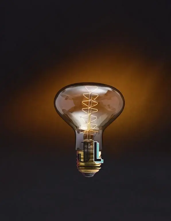 Ampoule Edison E27 Alvin - Filament Cage Vintage 60W