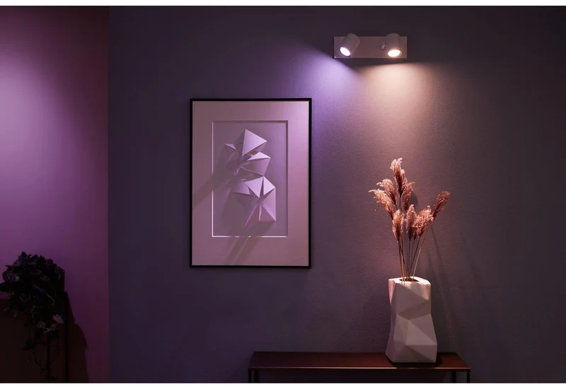 PHILIPS HUE ARGENTA ENKELT 2-SPOT HVID 915005762001