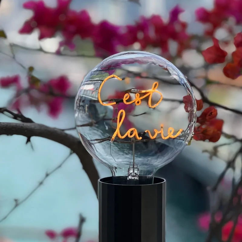 Ampoule décorative LED - sans Fil "C'est la Vie" - Message In The Bulb