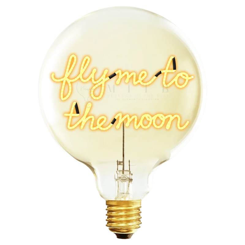 Ampoule décorative LED "Fly me to the Moon" - Message in the Bulb