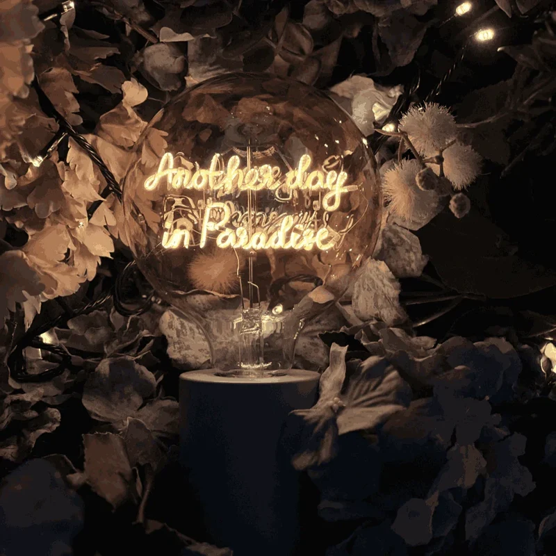Ampoule décorative LED "Another Day in Paradise" - Message In The Bulb