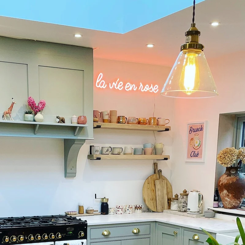 La vie en rose - signe en néon LED