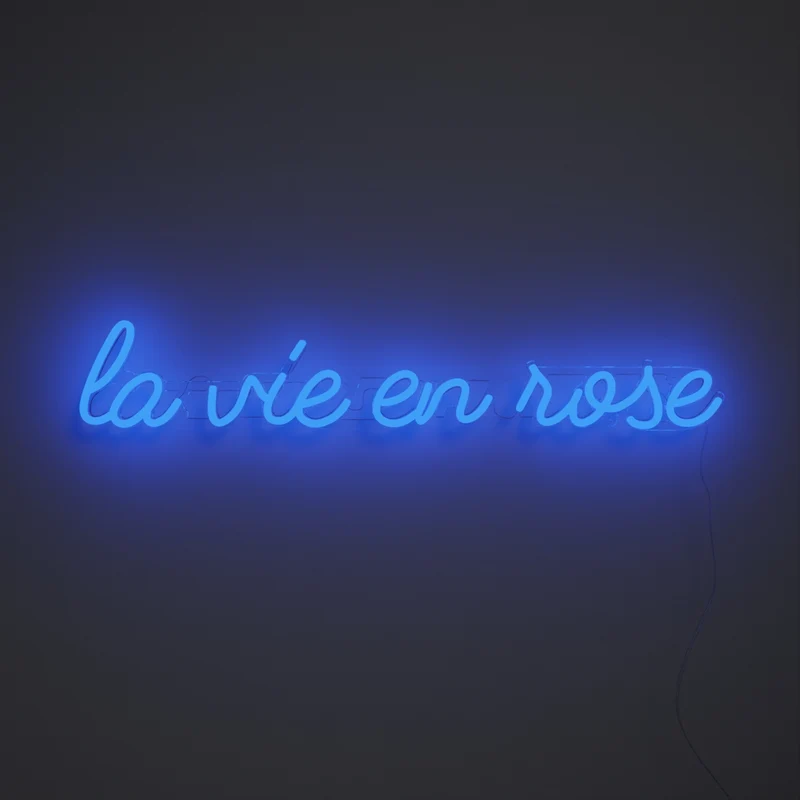 La vie en rose - signe en néon LED