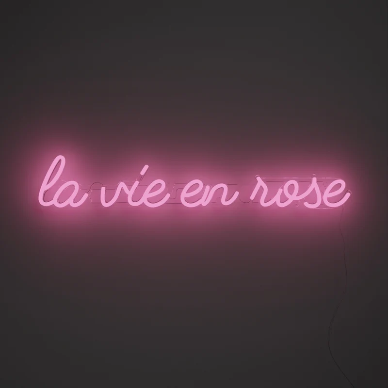 La vie en rose - signe en néon LED