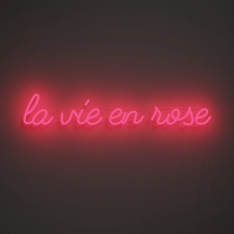 La vie en rose - signe en néon LED
