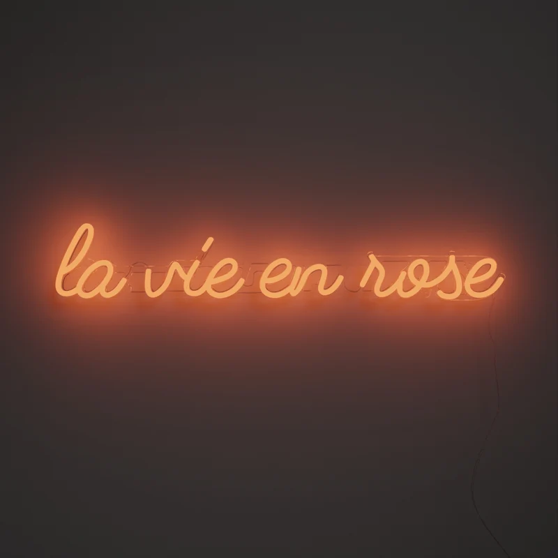 La vie en rose - signe en néon LED