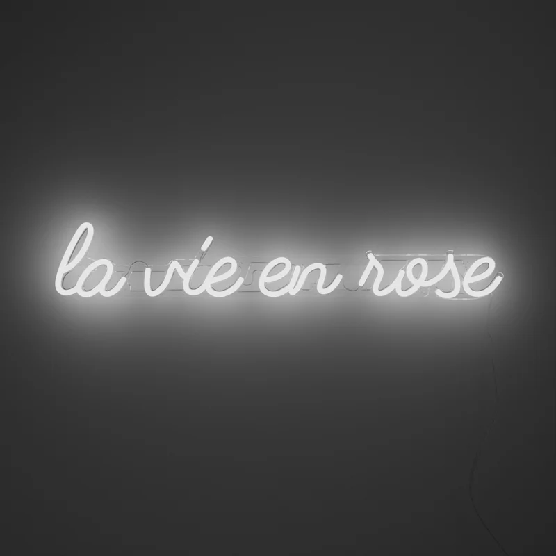 La vie en rose - signe en néon LED
