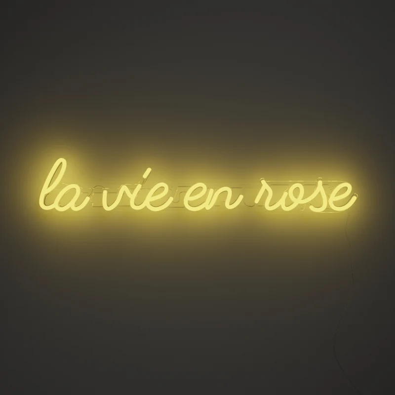 La vie en rose - signe en néon LED