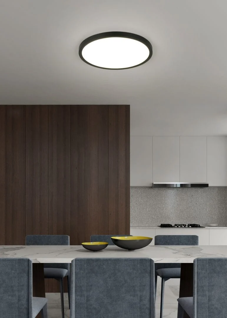 Lampe Cercle Led Plafond