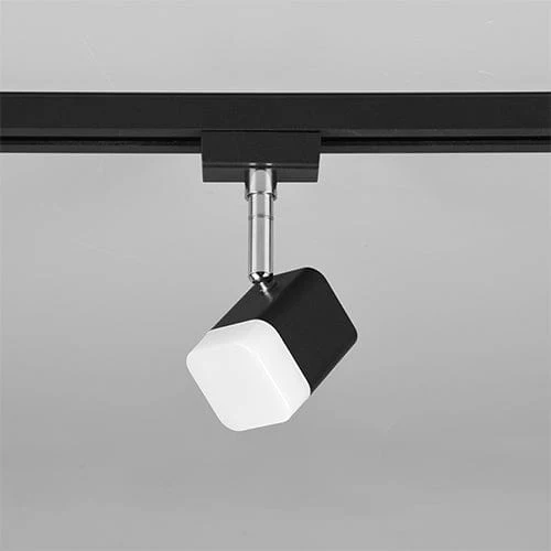 Rail Noir Luminaire