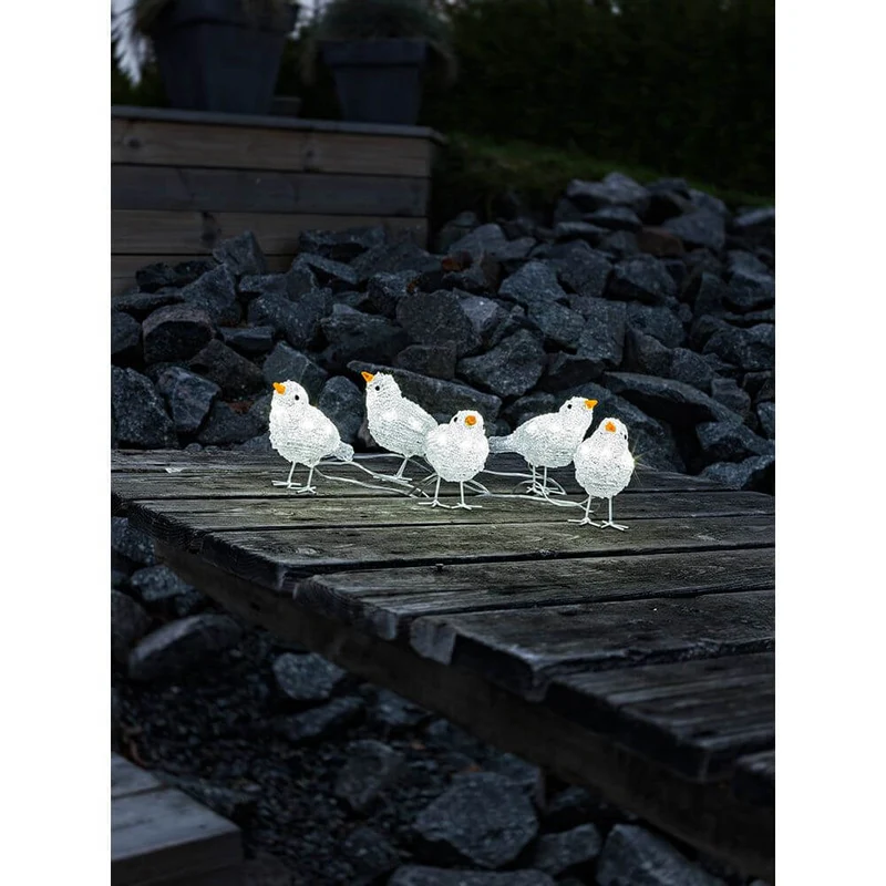 LED Acryl Vögel 5er-Set 40 Kaltweiß 24V