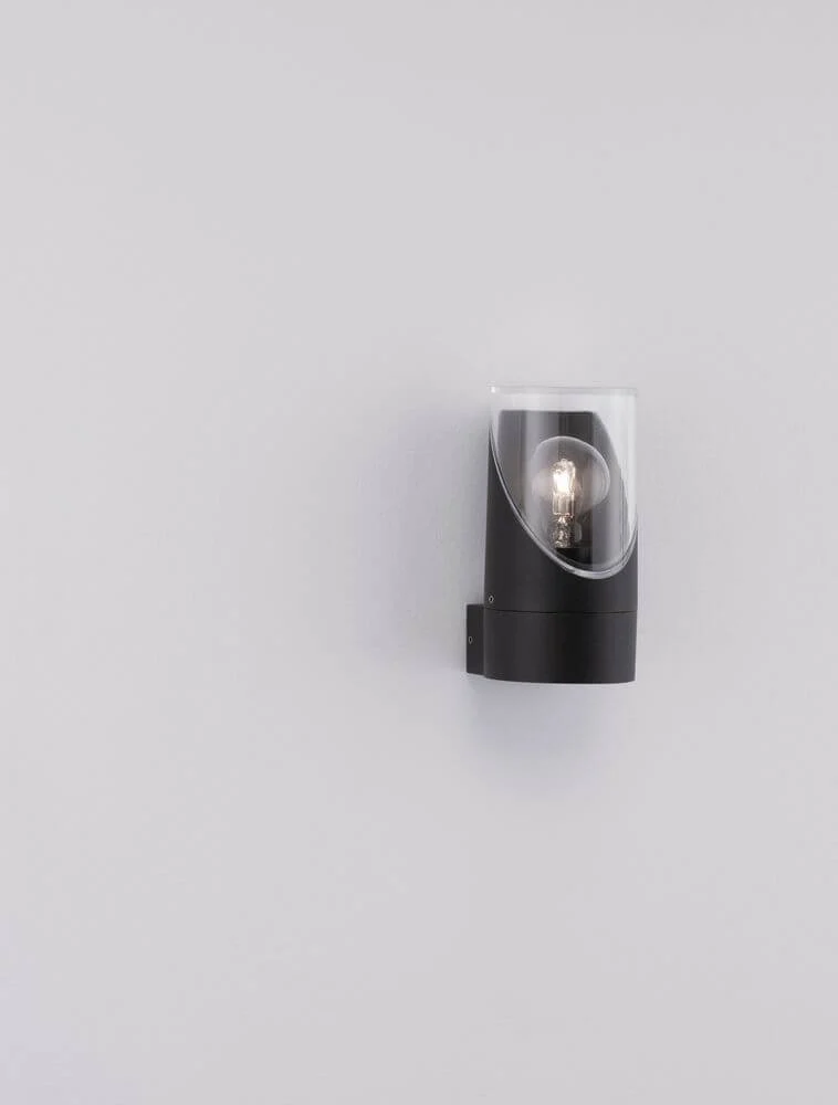 Selena Außenwandleuchte E27 Ø 9cm Anthrazit IP65