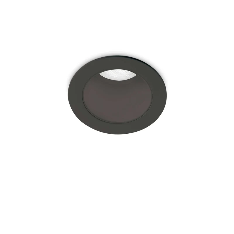 Spot Noir Led
