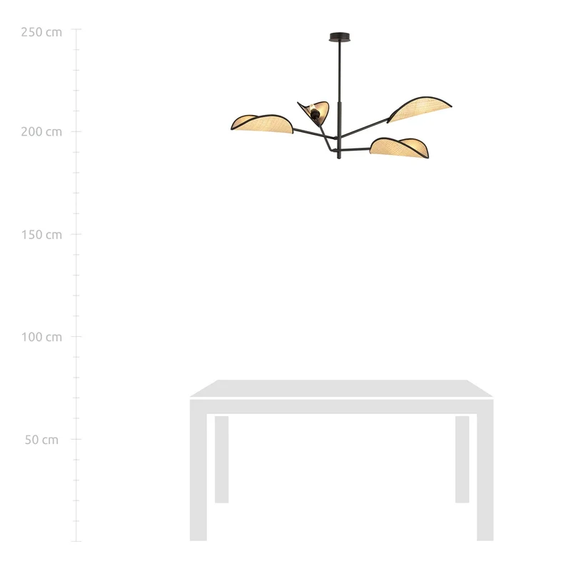 Design Suspension Luminaire