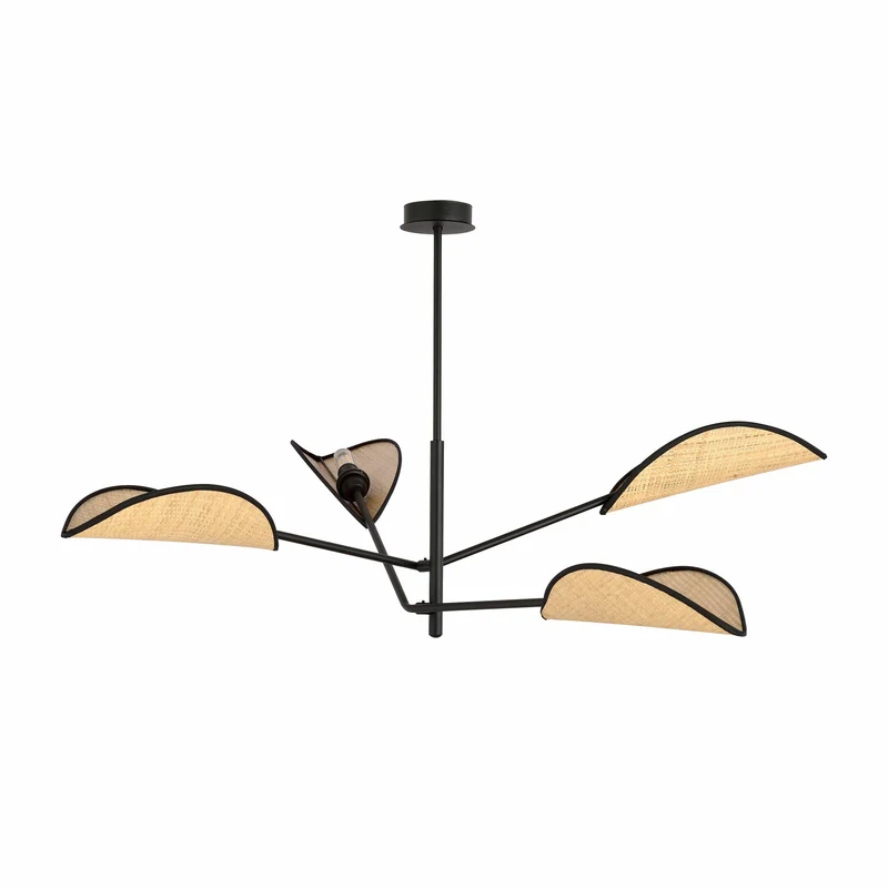 Design Suspension Luminaire