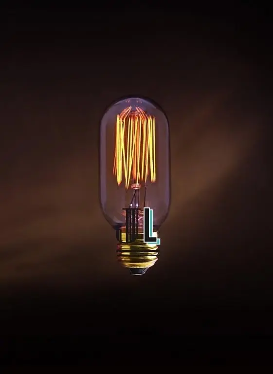 Ampoule Edison E27 T45 Filament - Modèle Alan