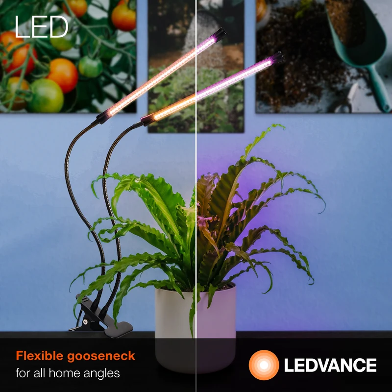 LEDVANCE Full Spectrum Gooseneck LED Indoor Plant Grow Light, 9W, Dimmable, 3000K, with Smart Control and 3' USB Power Cord - 1 Pk