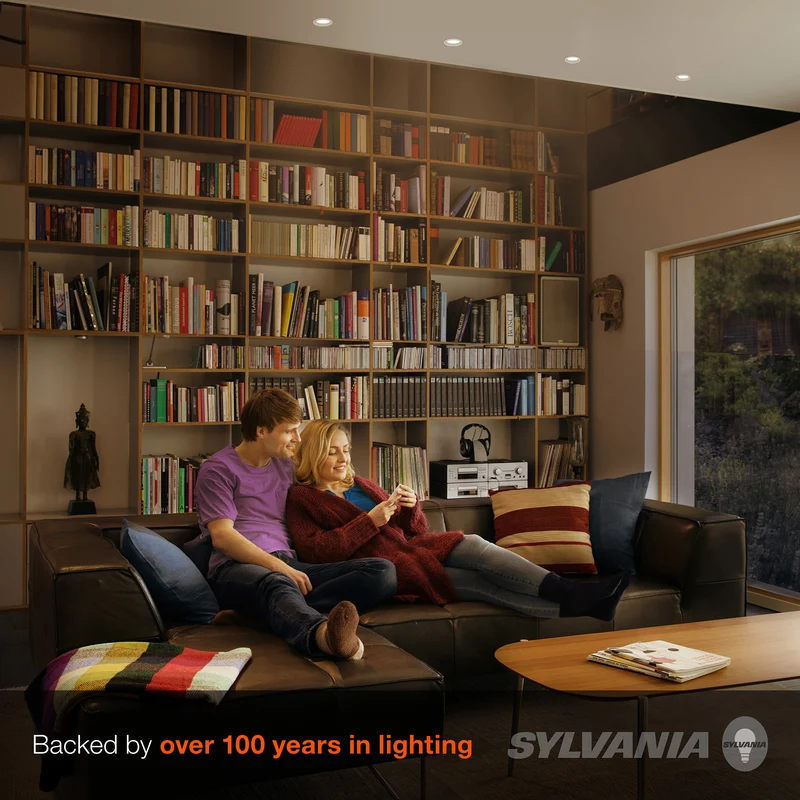 SYLVANIA LED PAR20 Flood Light Bulb, 50W = 6W, 10 Year, Non-Dimmable, 425 Lumens, 3000K, Warm White - 2 Pk