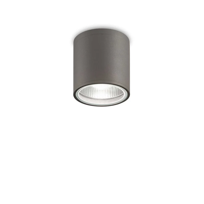 Plafonnier Exterieur Gris Anthracite