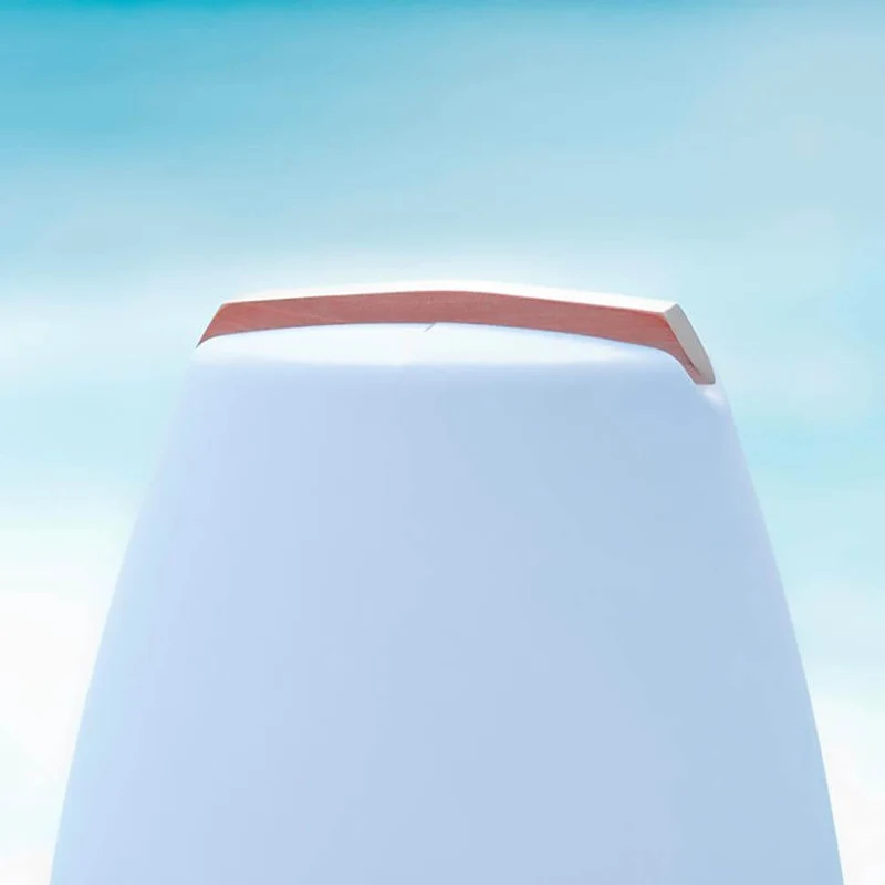 Akku LED-Dekolampe Vessel 2 mit Holzgriff & App-Steuerung