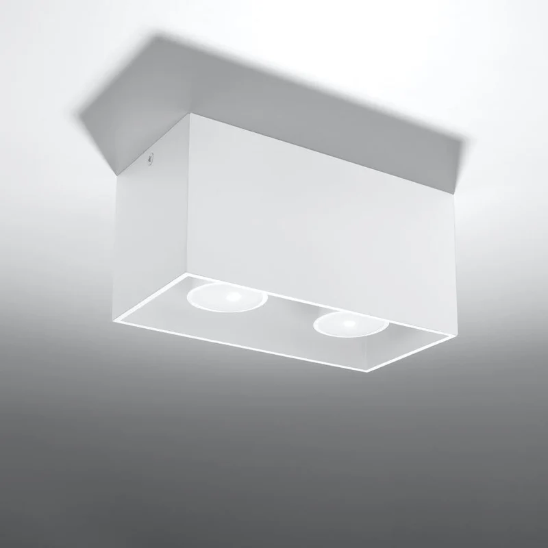 Plafonnier 2 Lampes